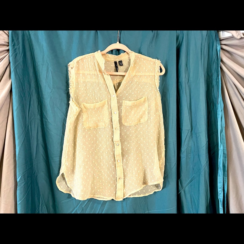 Sleeveless, Sheer Blouse